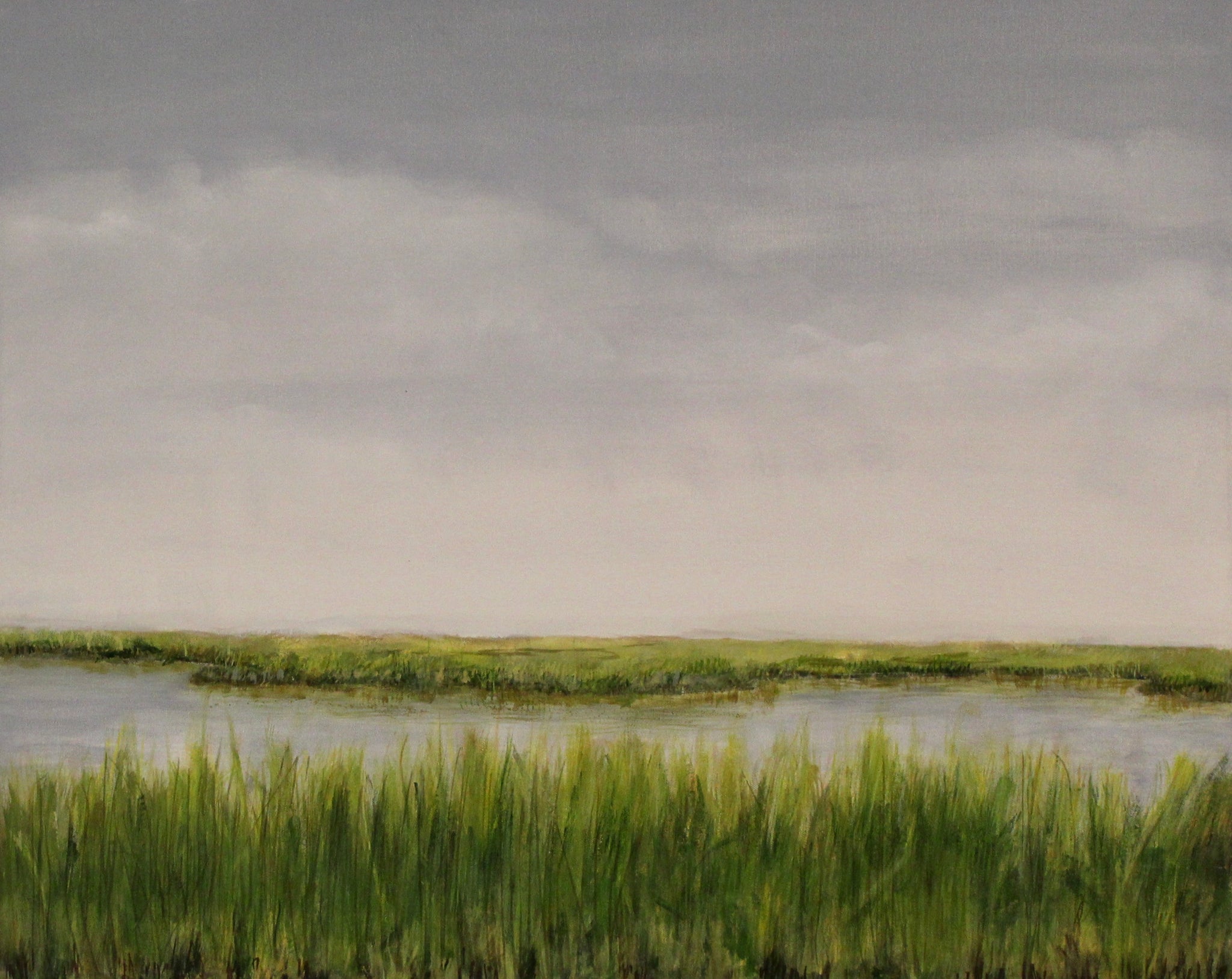 The Wetlands