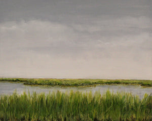 The Wetlands