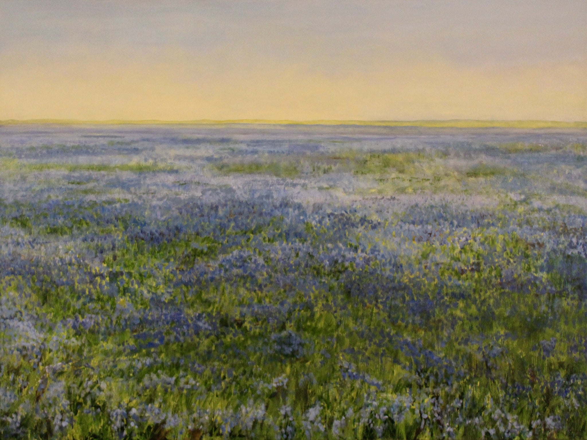 Bluebells 3