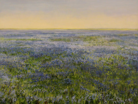 Bluebells 3