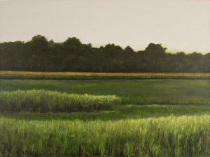 Green Fields - Hudson Valley