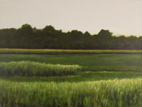 Green Fields - Hudson Valley