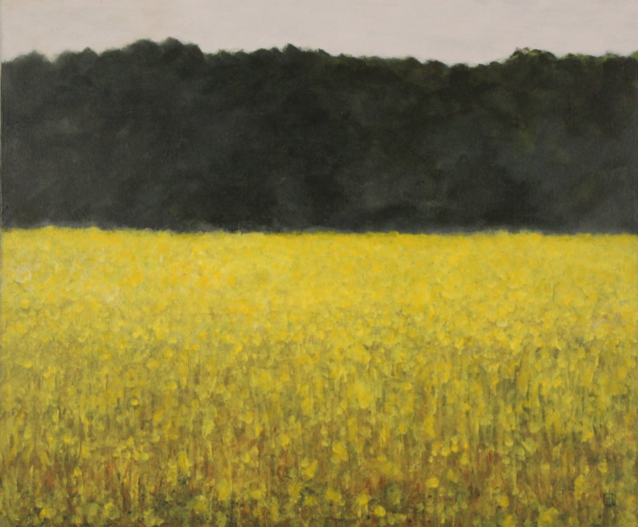 Field of Yellow--SOLD