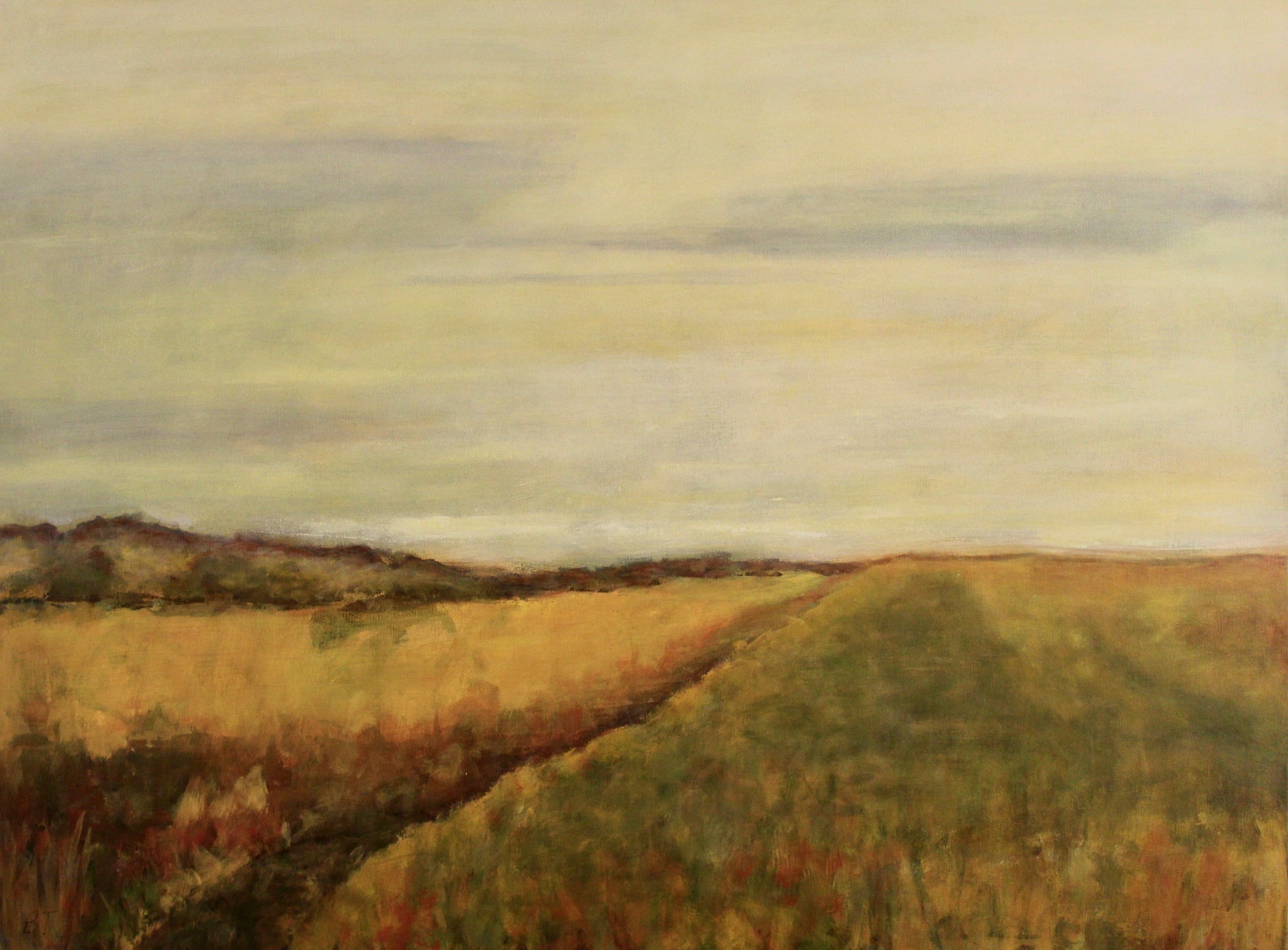 Wandering