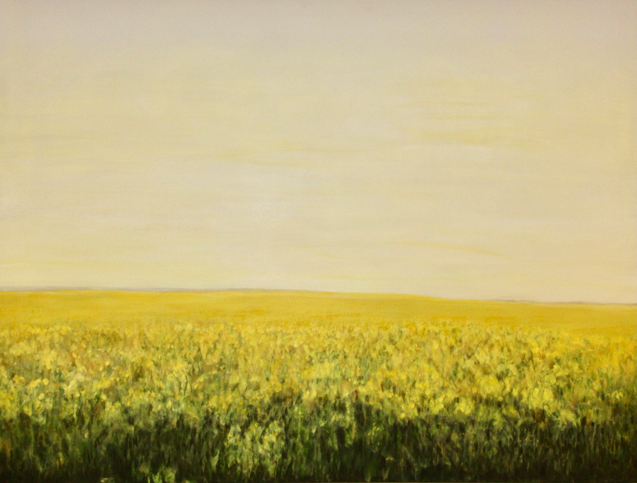 Rapeseed, Tobermory